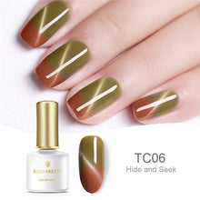 Load image into Gallery viewer, Thermal Magnetic Gel Polish