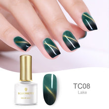 Load image into Gallery viewer, Thermal Magnetic Gel Polish